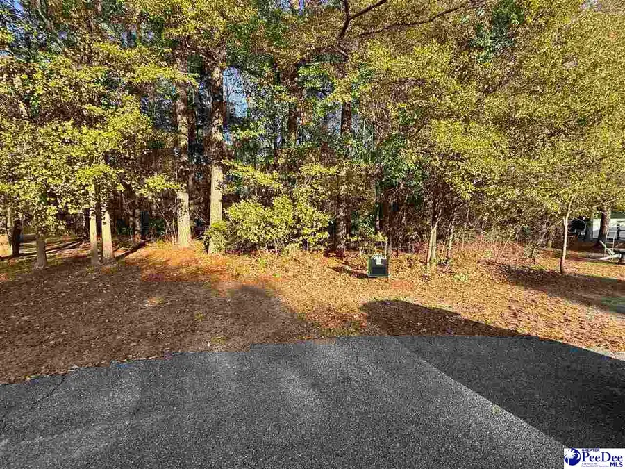 000 Fox Chase Way, Hartsville, SC 29550 - Image #2