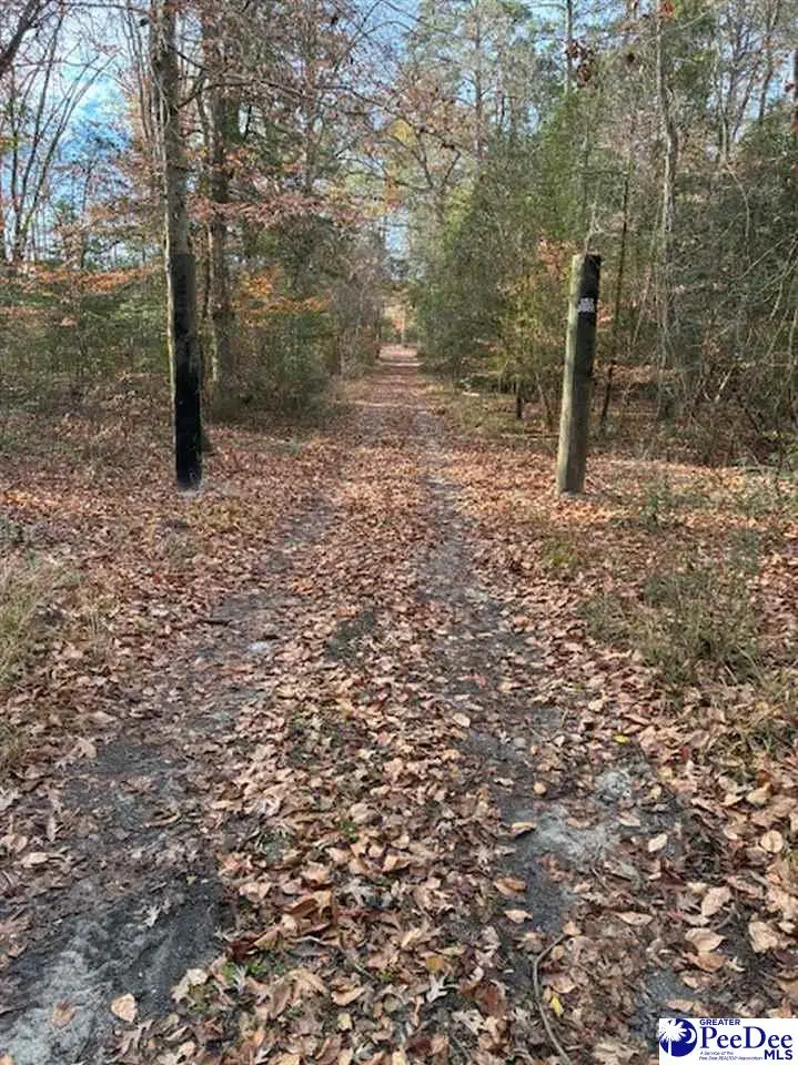 TBD Black Creek Road, Florence, SC 29501 - Image #1
