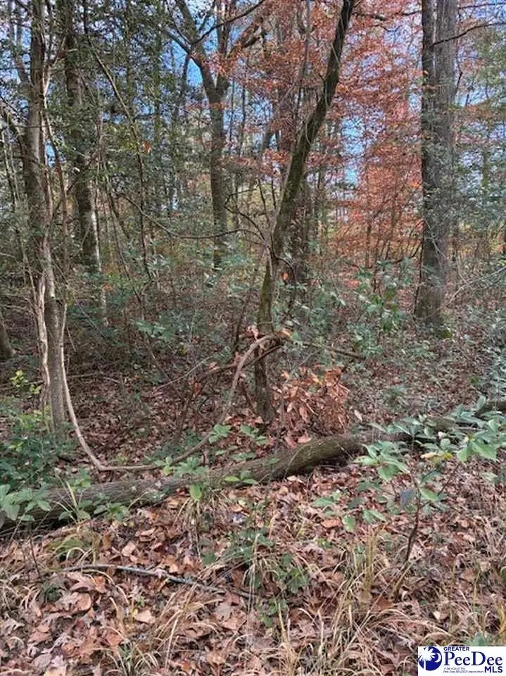 TBD Black Creek Road, Florence, SC 29501 - Image #2