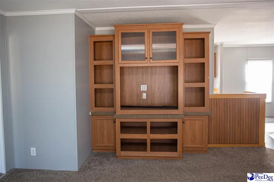 117 Chewning Street, Bishopville, SC 29010-0000 - Image #3