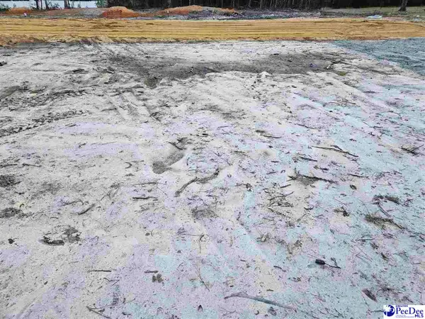 3515 Ballpark Rd., Effingham, SC 29541-4237