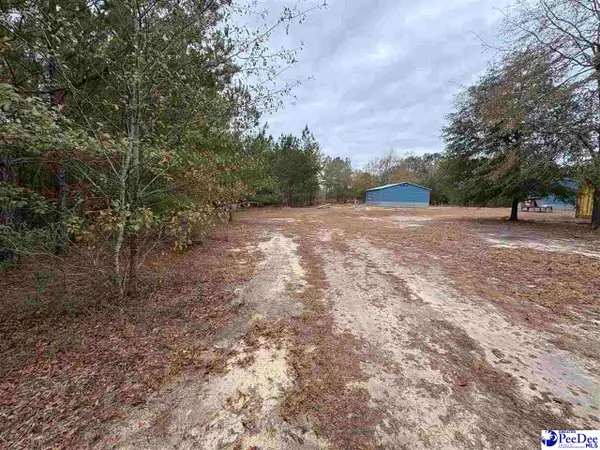 143 Branchview Rd, Hartsville, SC 29550