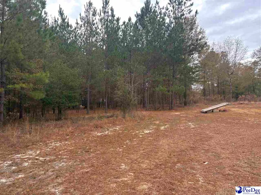 143 Branchview Rd, Hartsville, SC 29550 - Image #3