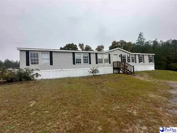 1133 Hoffman Rd, Hartsville, SC 29550