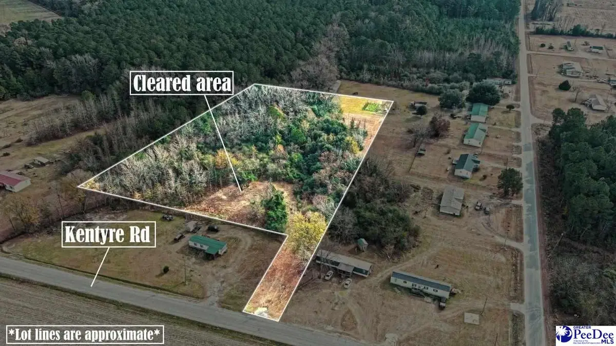 Kentyre Rd, Hamer, SC 29547 - Image #1