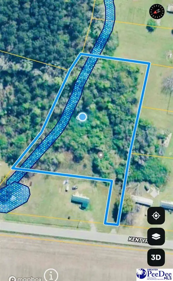 Kentyre Rd, Hamer, SC 29547 - Image #2