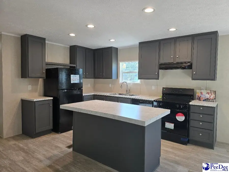 111 Copeland Moody Rd, Latta, SC 29565 - Image #2