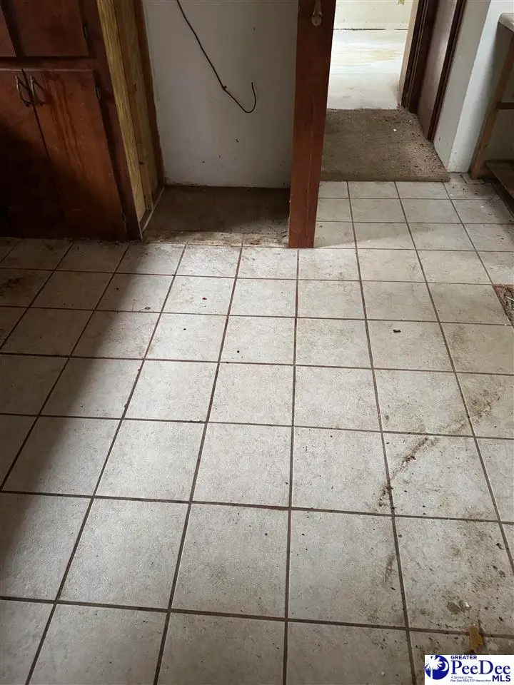 4629 S Williamsburg County Hwy, Salters, SC 29505 - Image #2