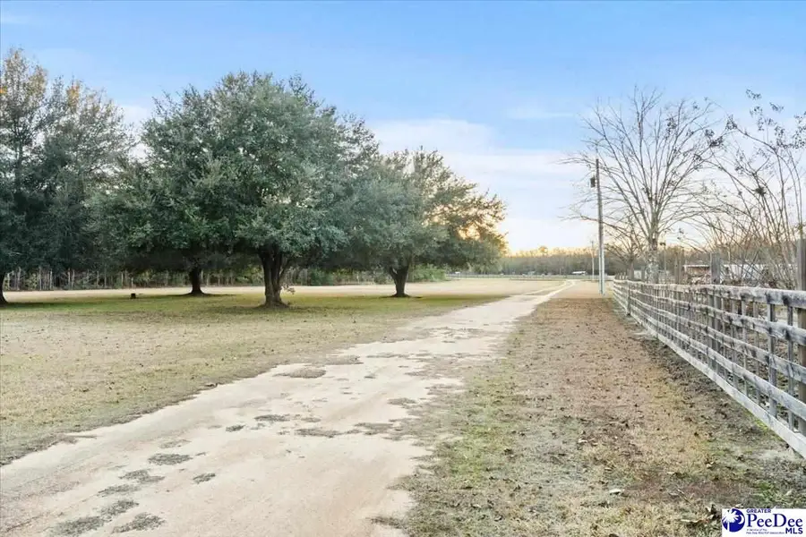 1732 S Hill Rd, Timmonsville, SC 29161 - Image #3