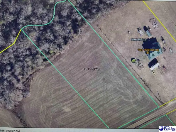 Tbd Timmons Rd, Effingham, SC 29541