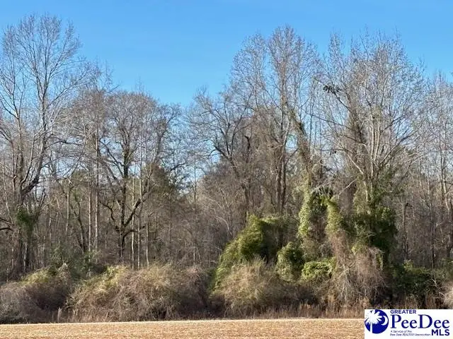 Tbd Timmons Rd, Effingham, SC 29541 - #3
