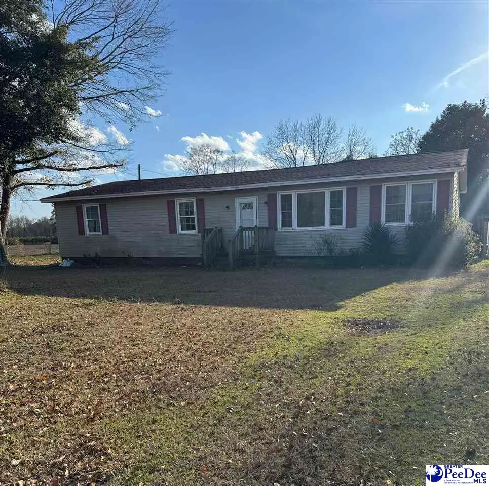 3474 Olanta Highway, Olanta, SC 29114 - Image #1