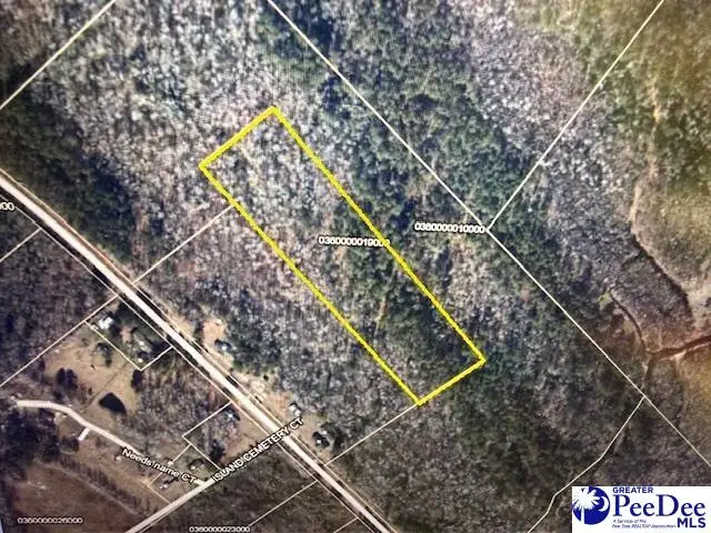 TBD Pee Dee Island Road, Nichols, SC 29581 - Image #2