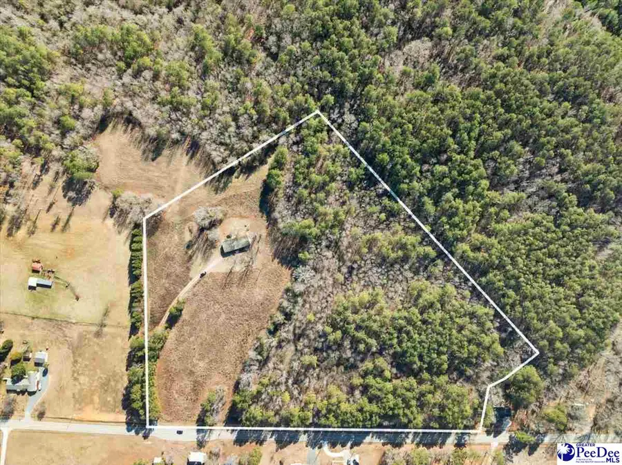 102 Dolly Moore Lane, Chesterfield, SC 29709 - Image #2