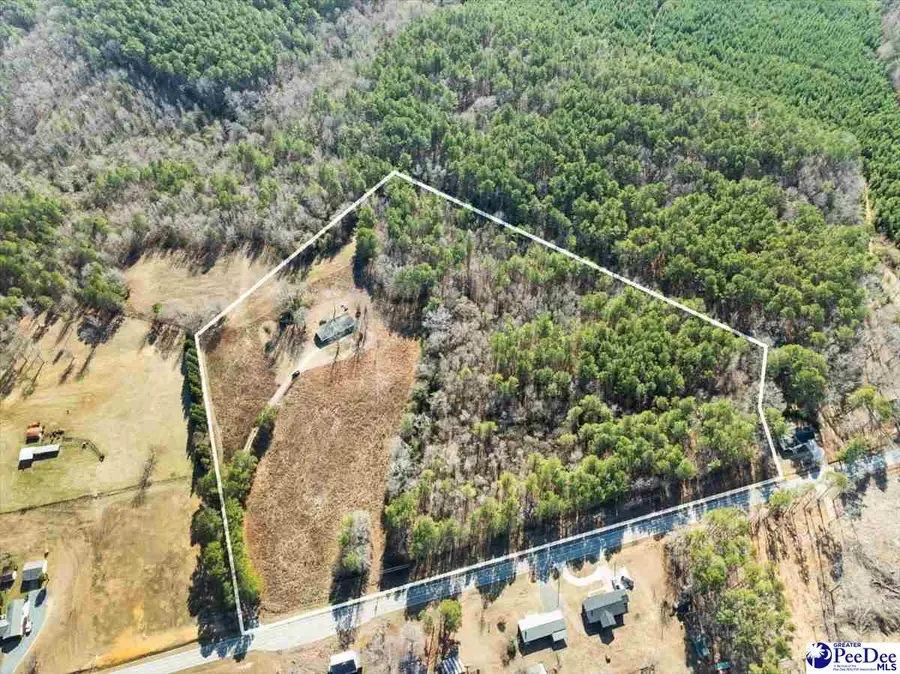 102 Dolly Moore Lane, Chesterfield, SC 29709 - Image #3