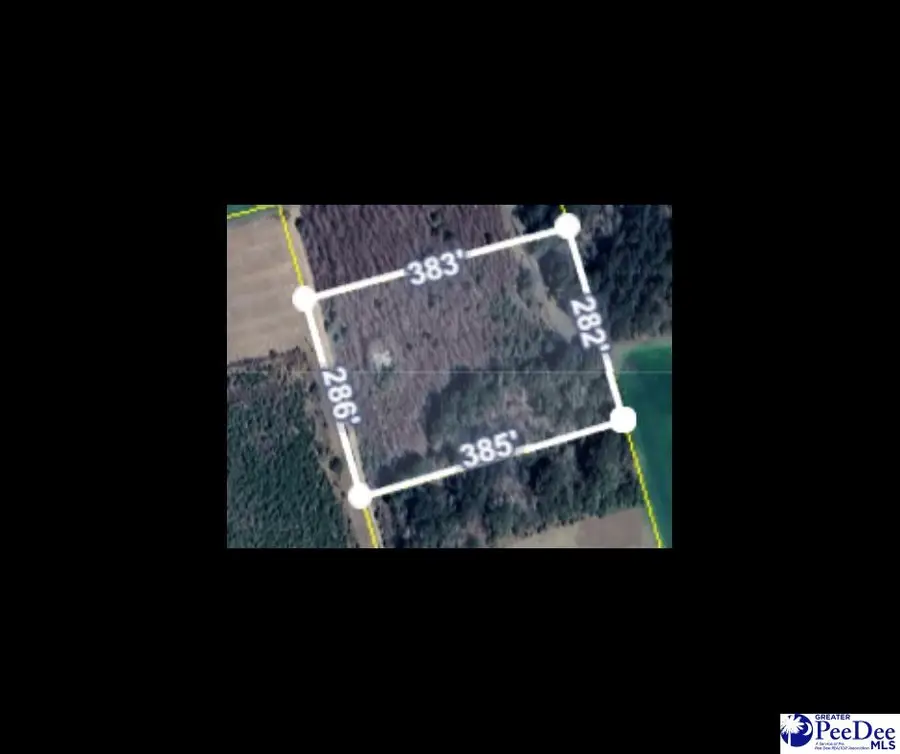 70 Chance Lane, Salters, SC 29590 - Image #2