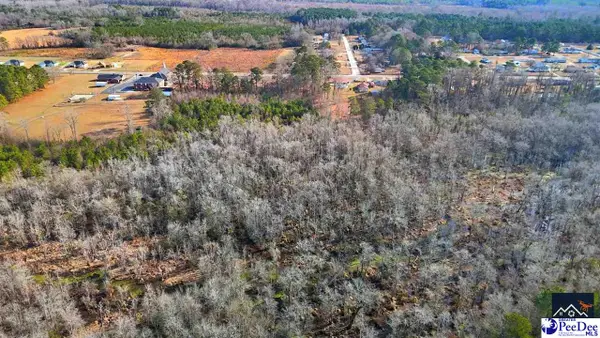 TBD Powell Court, Dillon, SC 29536