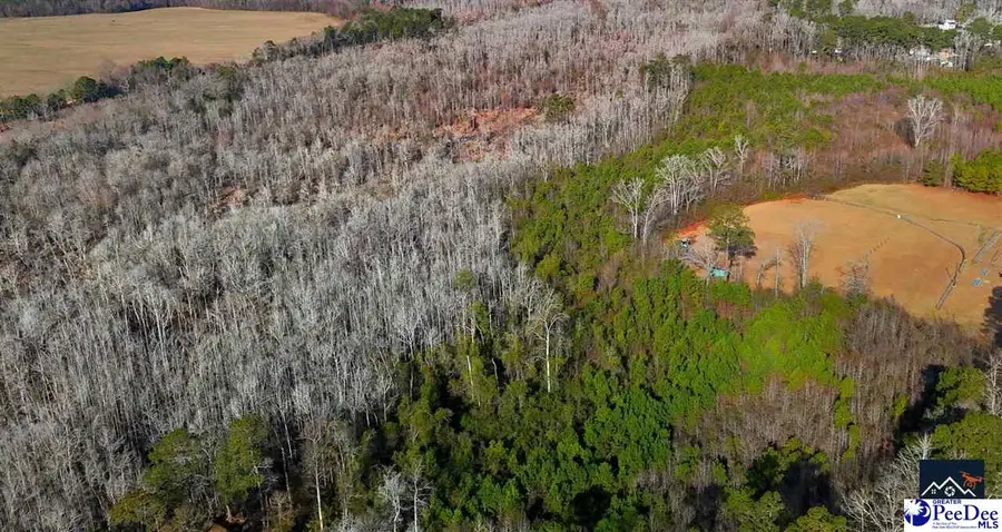 TBD Powell Court, Dillon, SC 29536 - Image #3