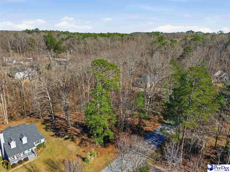 208 Twisted Oak Drive, Greenwood, SC 29646 - Image #3