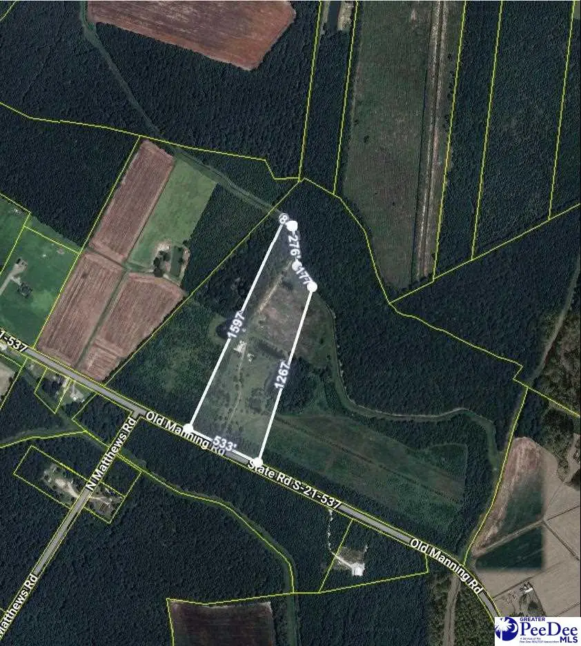 2681 & 2685 Old Manning Road, Scranton, SC 29591-5853 - Image #2