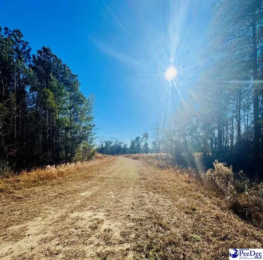 0000 Thistledown Rd, Cheraw, SC 29520 - Image #2