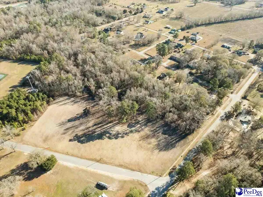 Lot 1 TBD Green Street, Turbeville, SC 29162 - Image #3
