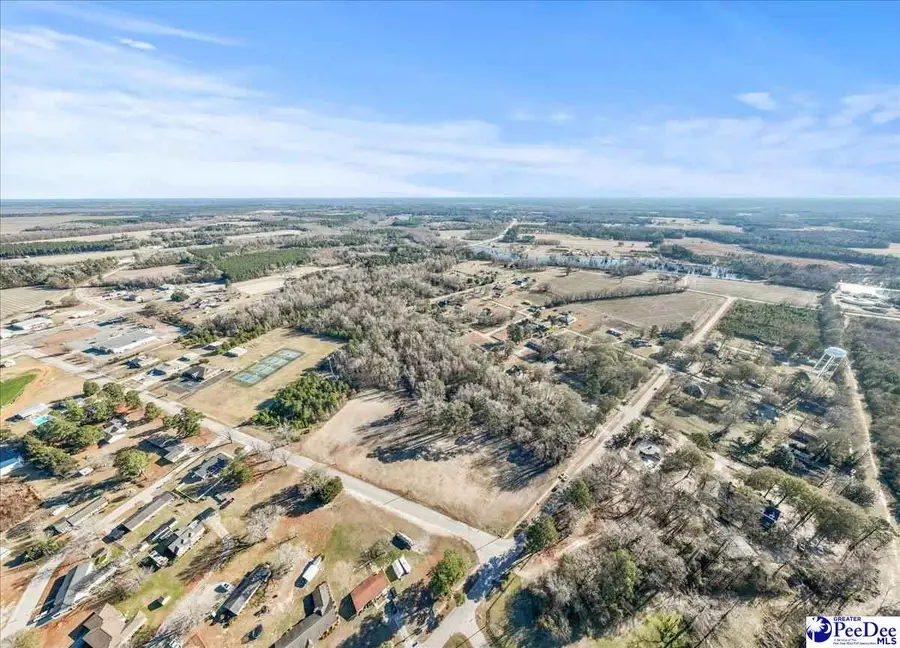 Lot 3 TBD Green Street, Turbeville, SC 29162 - Image #2