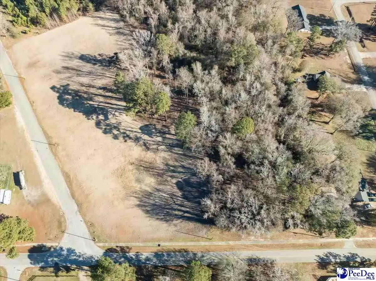 Lot 7 TBD Atkinson Street, Turbeville, SC 29162 - Image #1