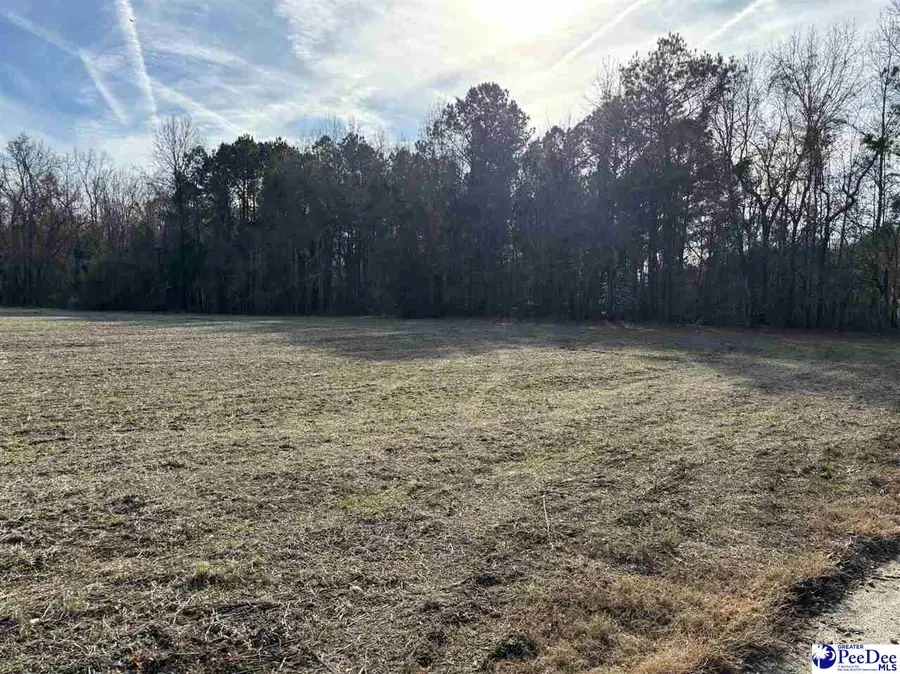 Tbd Indigo Landing Rd Lot 2, Scranton, SC 29591 - #2