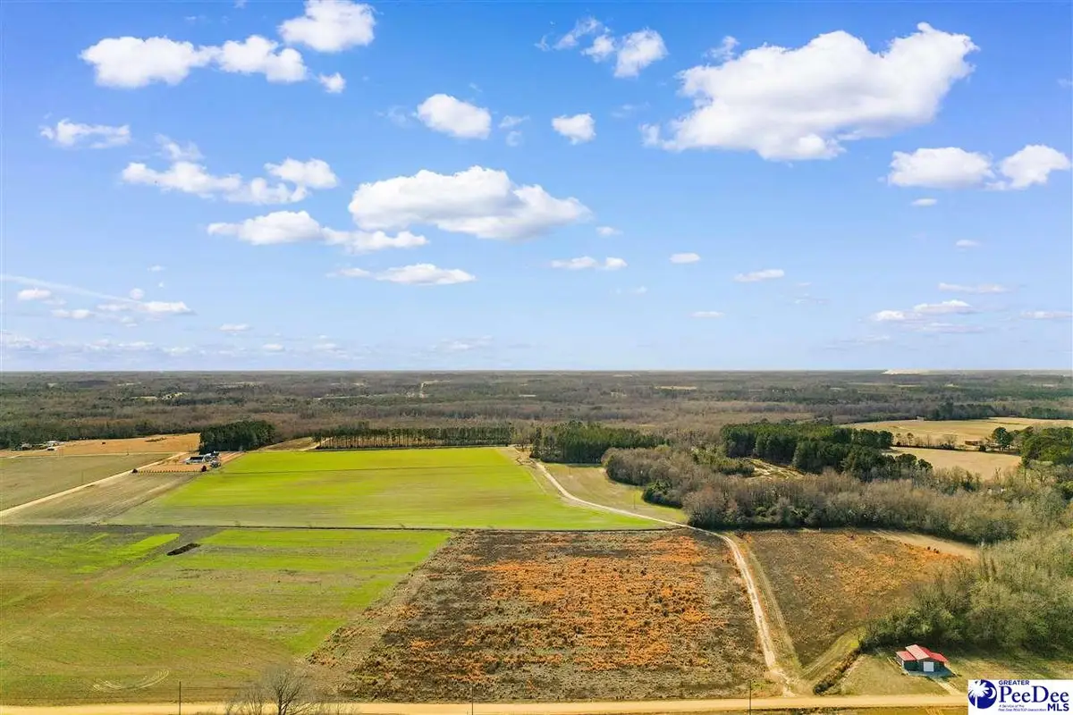 tbd Acacia Drive, Dillon, SC 29536 - #1