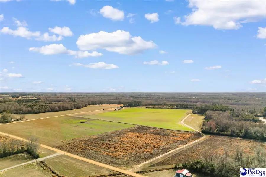 tbd Acacia Drive, Dillon, SC 29536 - #3