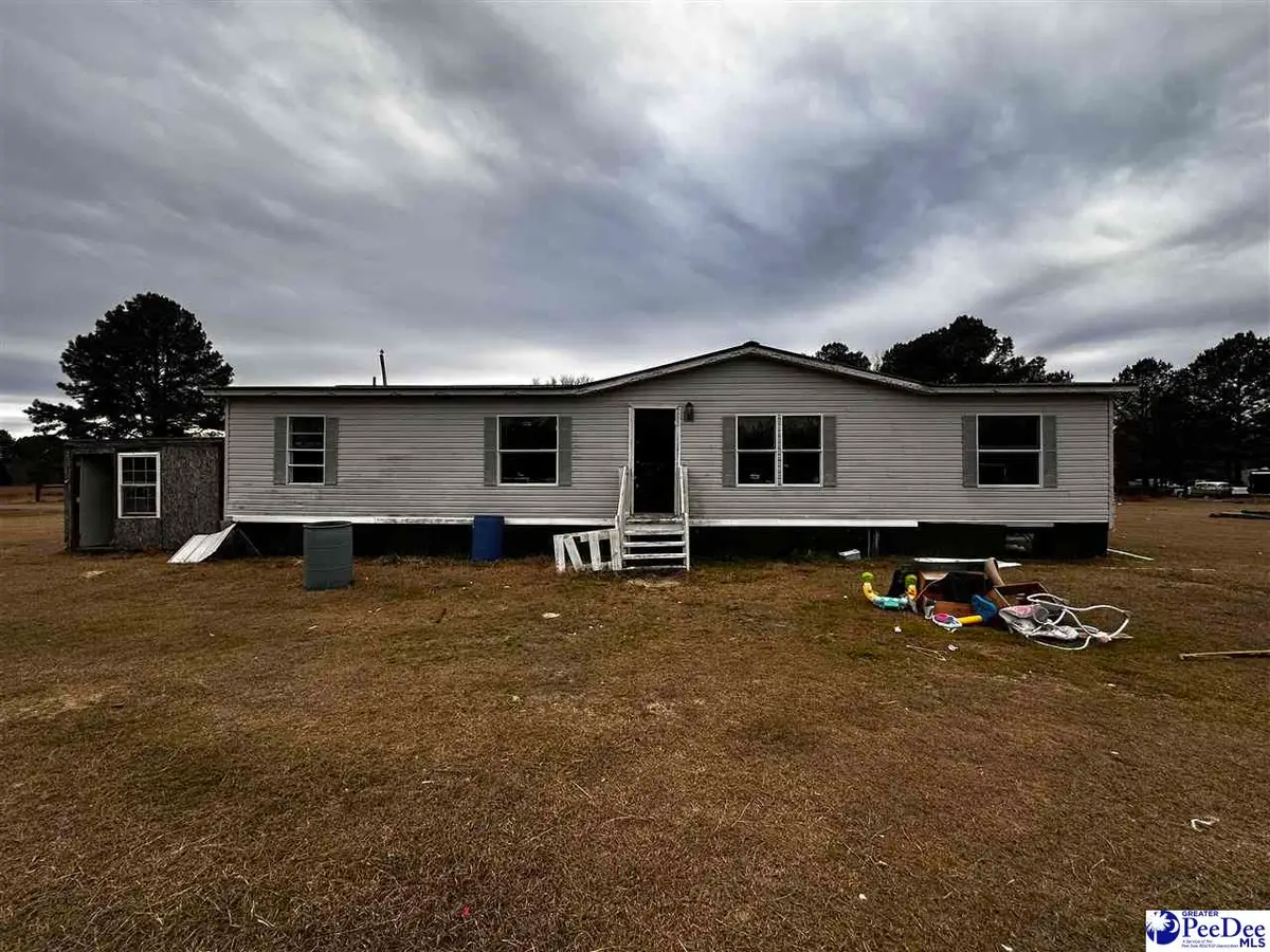 447 Annie Ln, Latta, SC 29565 - #1