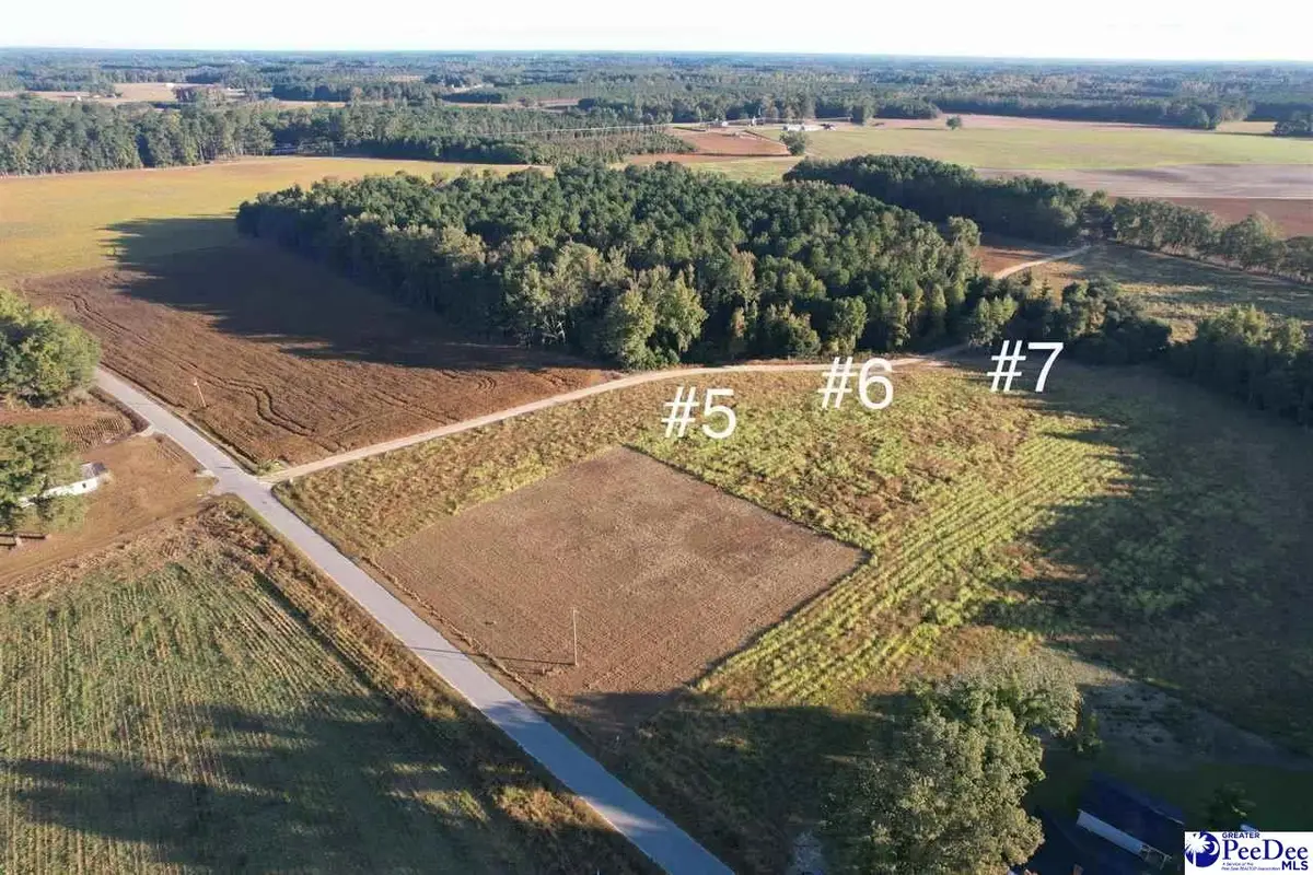 Lot 5 Neil Drive, Hamer, SC 29547 - #1