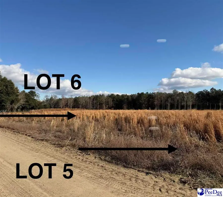 Lot 5 Neil Drive, Hamer, SC 29547 - #2