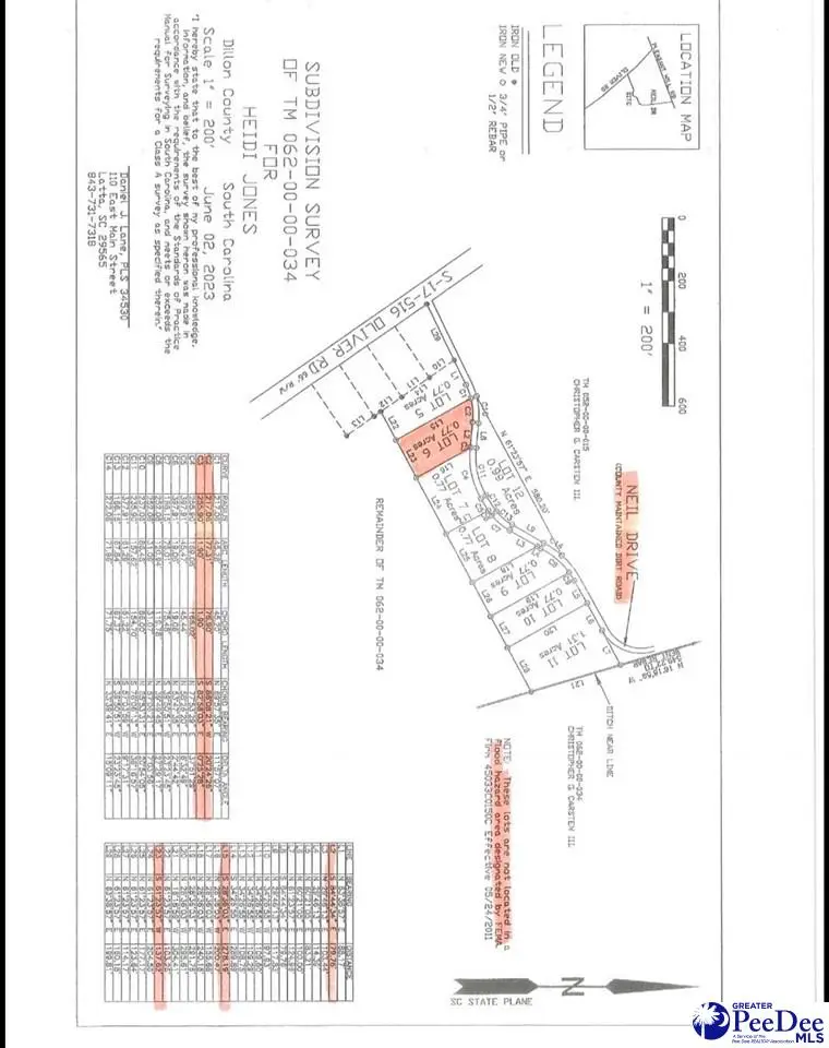 Lot 6 Neil Drive, Hamer, SC 29547 - #3
