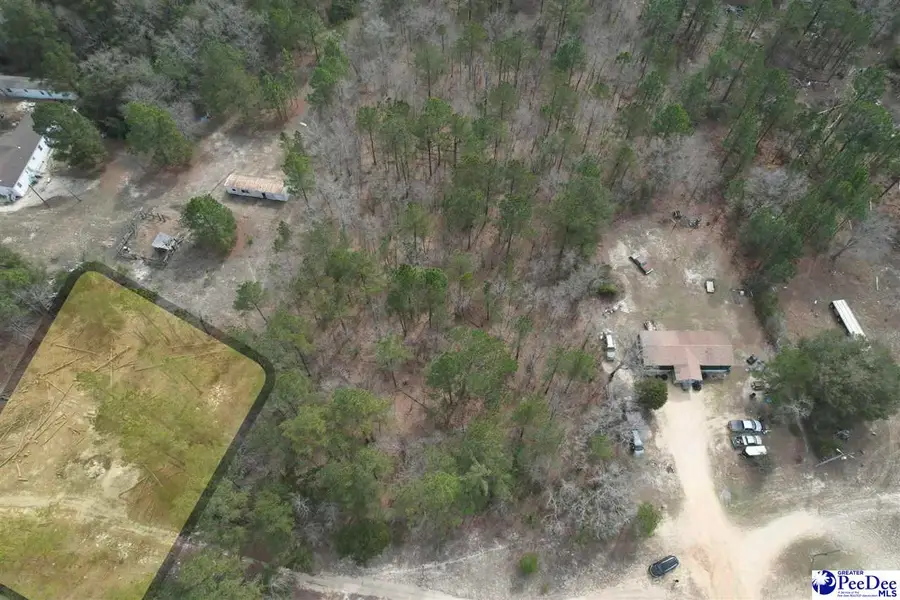 TBD Mattie Drive, Dillon, SC 29536 - #3