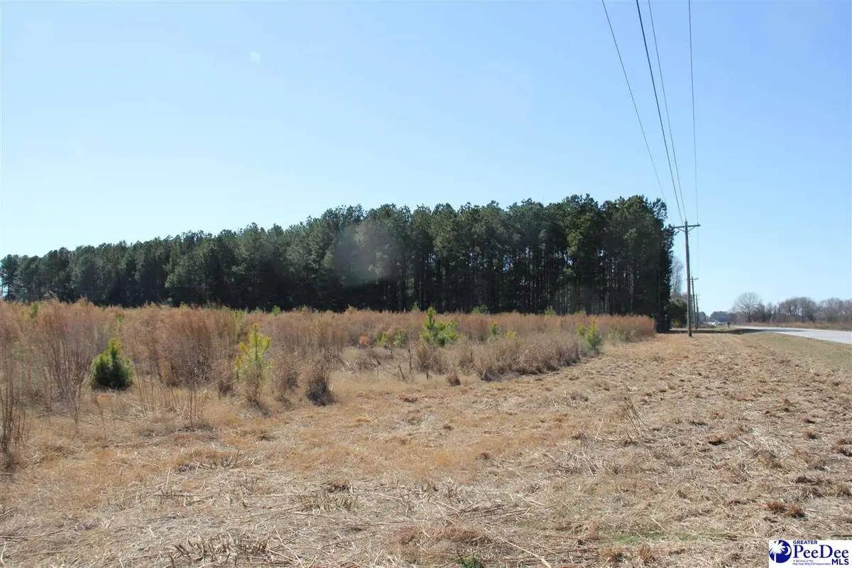 TBD Hwy 15, Hartsville, SC 29550 - #1