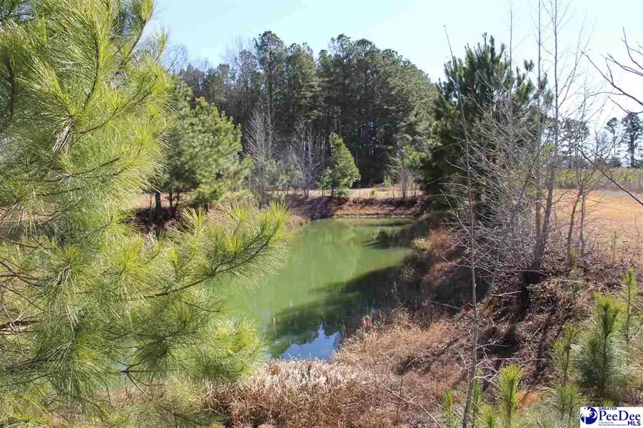 TBD Hwy 15, Hartsville, SC 29550 - #3