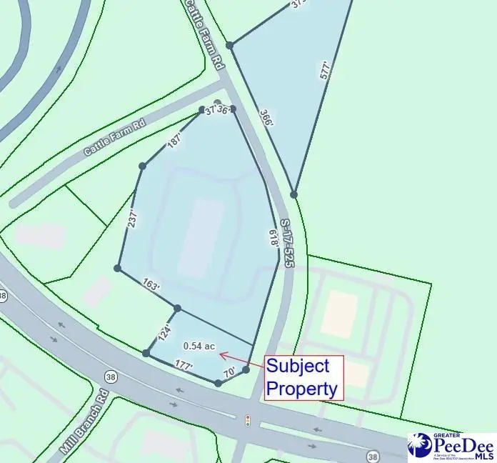 2513 Cattle Farm Road, Latta, SC 29565 - #1