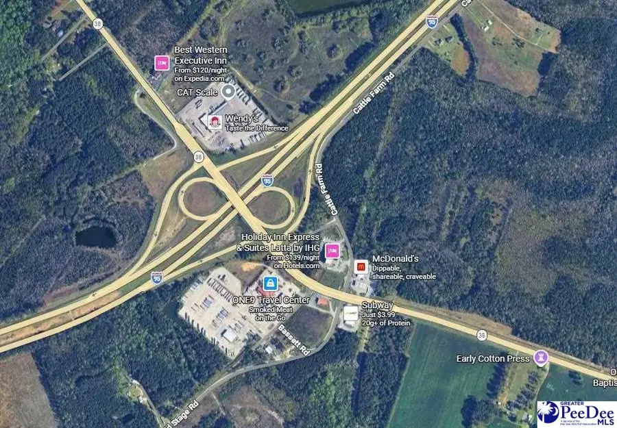 2513 Cattle Farm Road, Latta, SC 29565 - #3