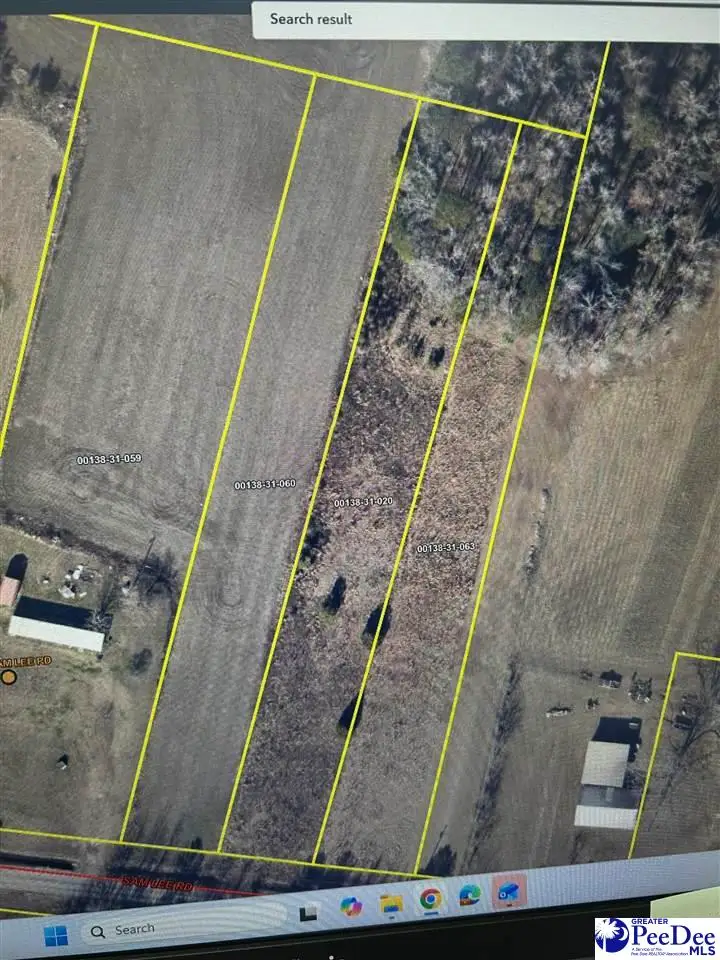 1123 Sam Lee Rd, Scranton, SC 29591 - #1