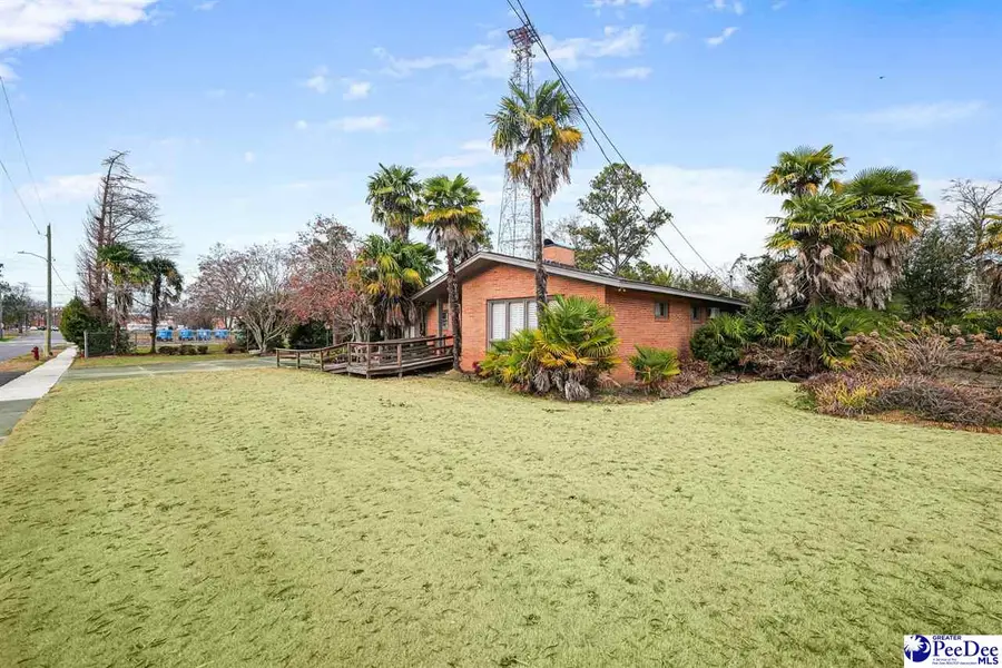 315 Arch Street, Marion, SC 29571 - Image #2