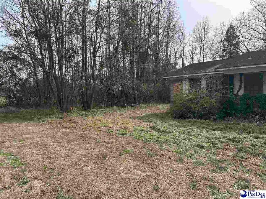 2703 S Hill Rd, Timmonsville, SC 29161 - #2