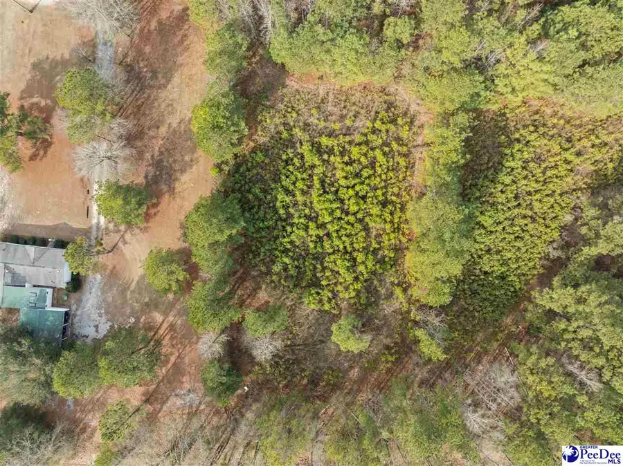 TBD Berry Rd Lot 2, Hartsville, SC 29550 - #2