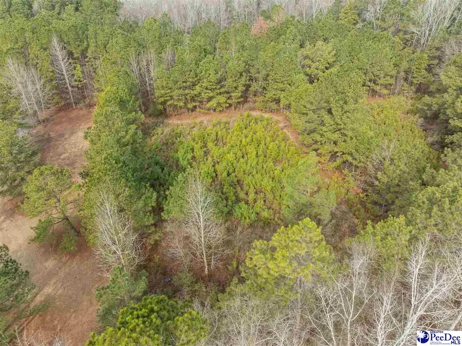 TBD Berry Rd Lot 2, Hartsville, SC 29550 - #3