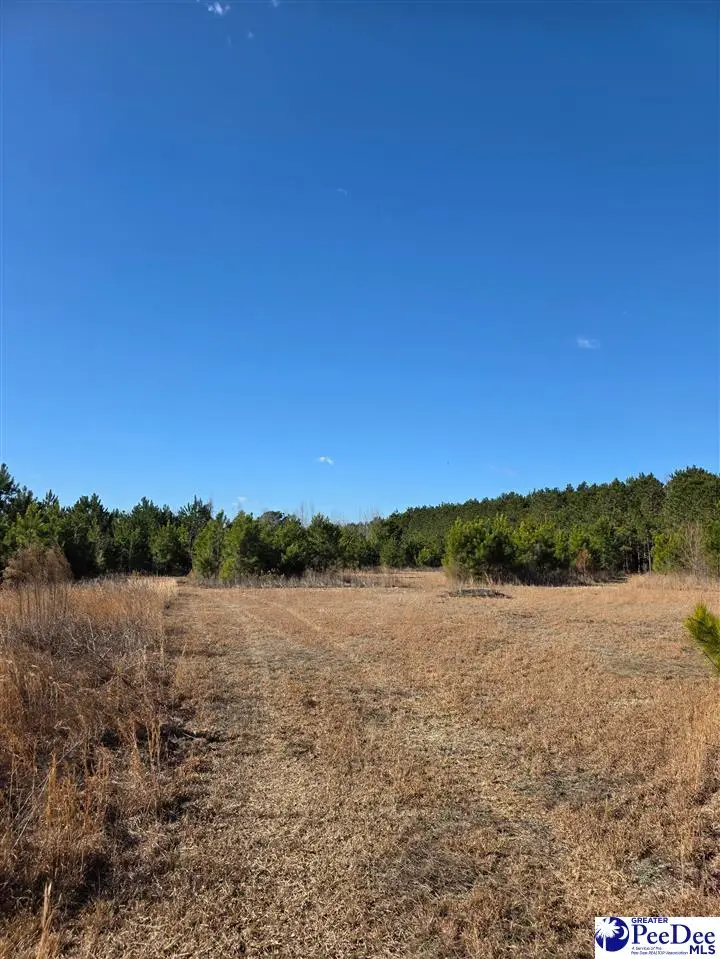 5140 Sardis Hwy, Timmonsville, SC 29161-8162 - #2