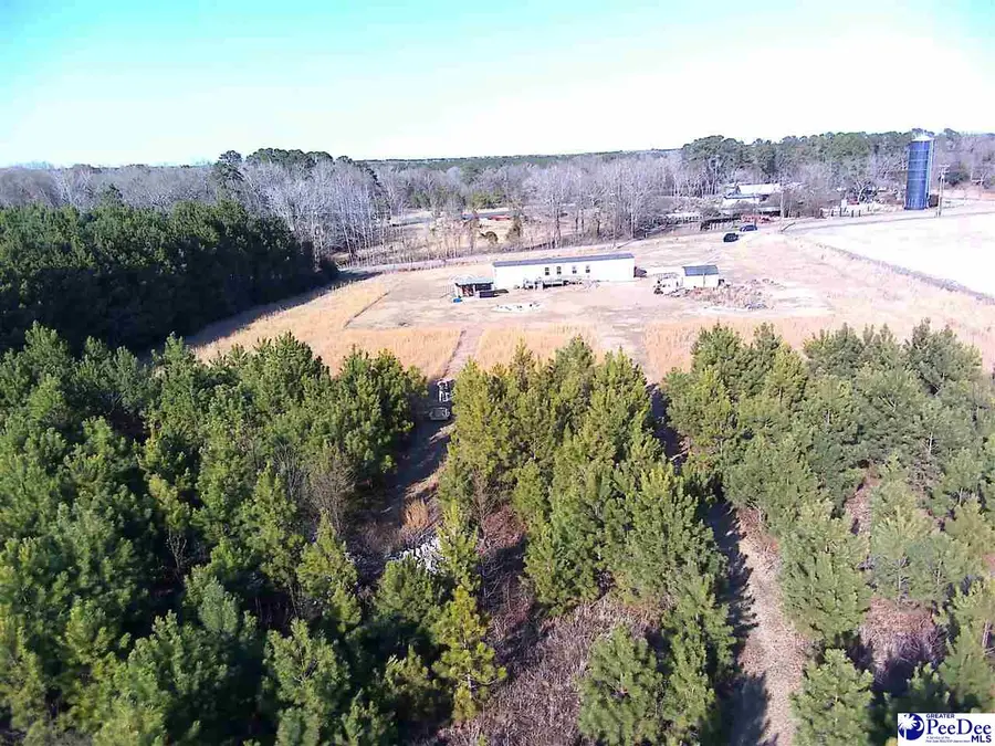 5140 Sardis Hwy, Timmonsville, SC 29161-8162 - #3