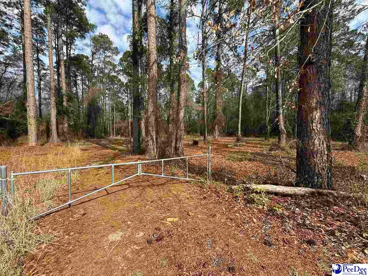 6.5 +/- Tract Market St Ext, Cheraw, SC 29520 - Image #1