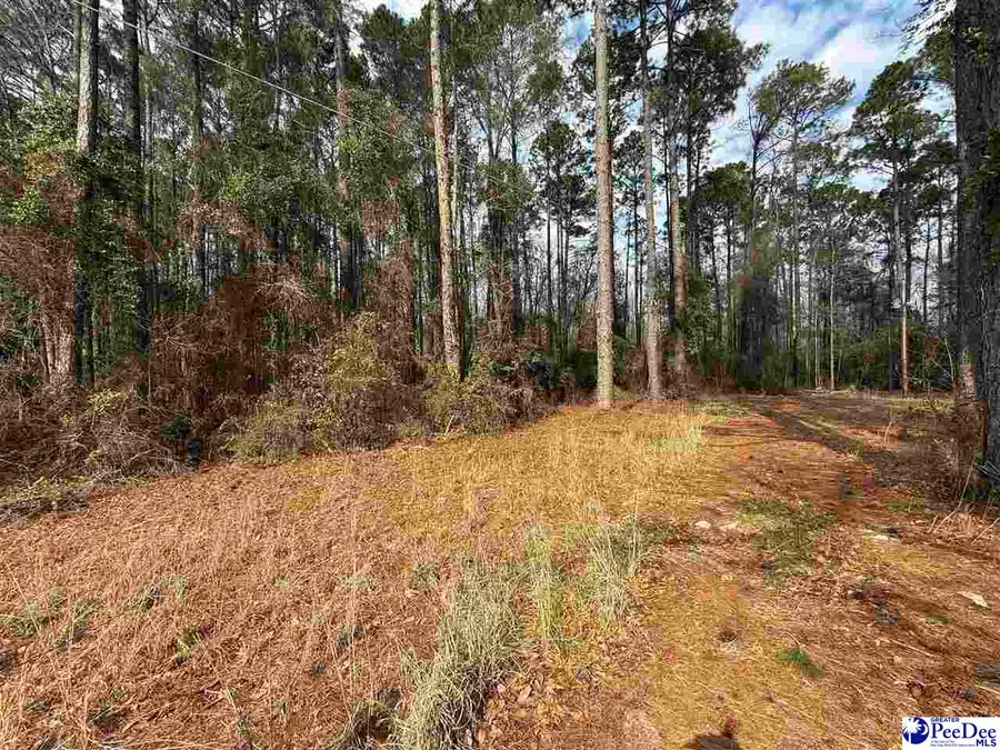 6.5 +/- Tract Market St Ext, Cheraw, SC 29520 - Image #2