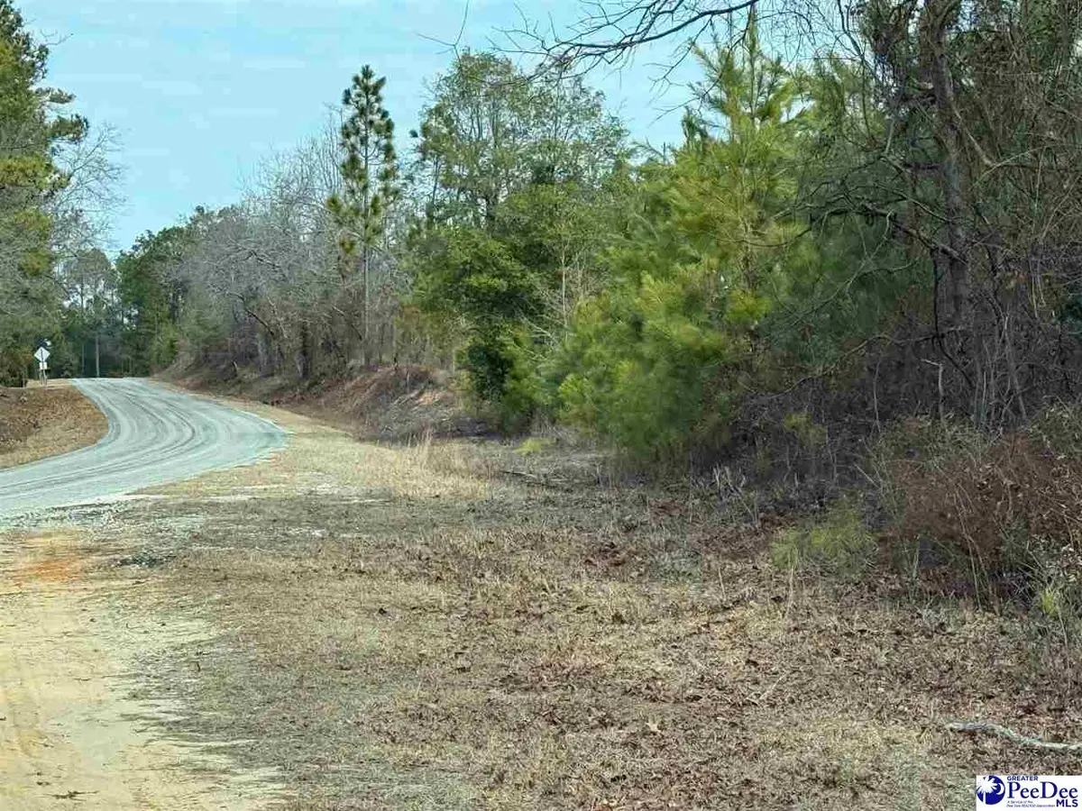 24 +/- Tract Auction Barn Rd, Cheraw, SC 29520 - #1